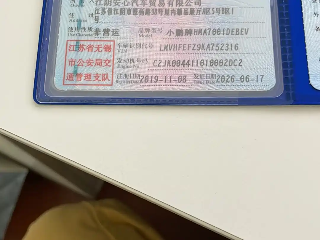 XPeng G3 2019 2020 520 Smart Edition