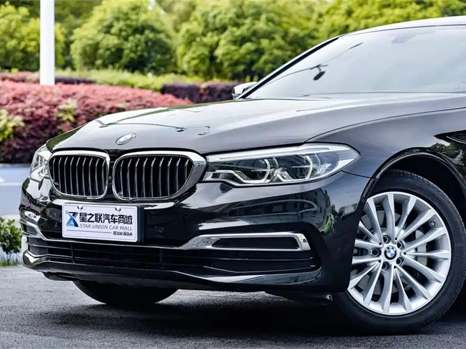 BMW 5 Series 2020 530Li Premium Luxury Package фото 3