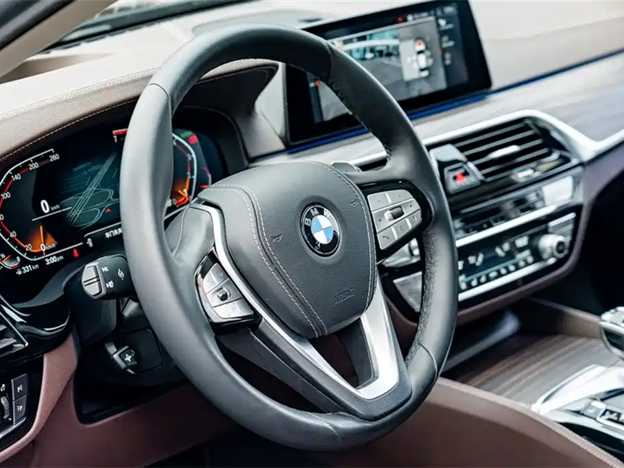 BMW 5 Series 2020 530Li Premium Luxury Package фото 9