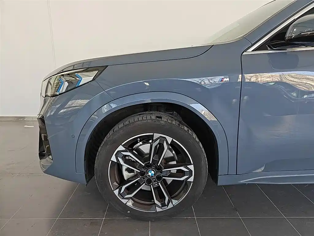 BMW X2 (Import) 2024 sDrive25i M Sport Package фото 6