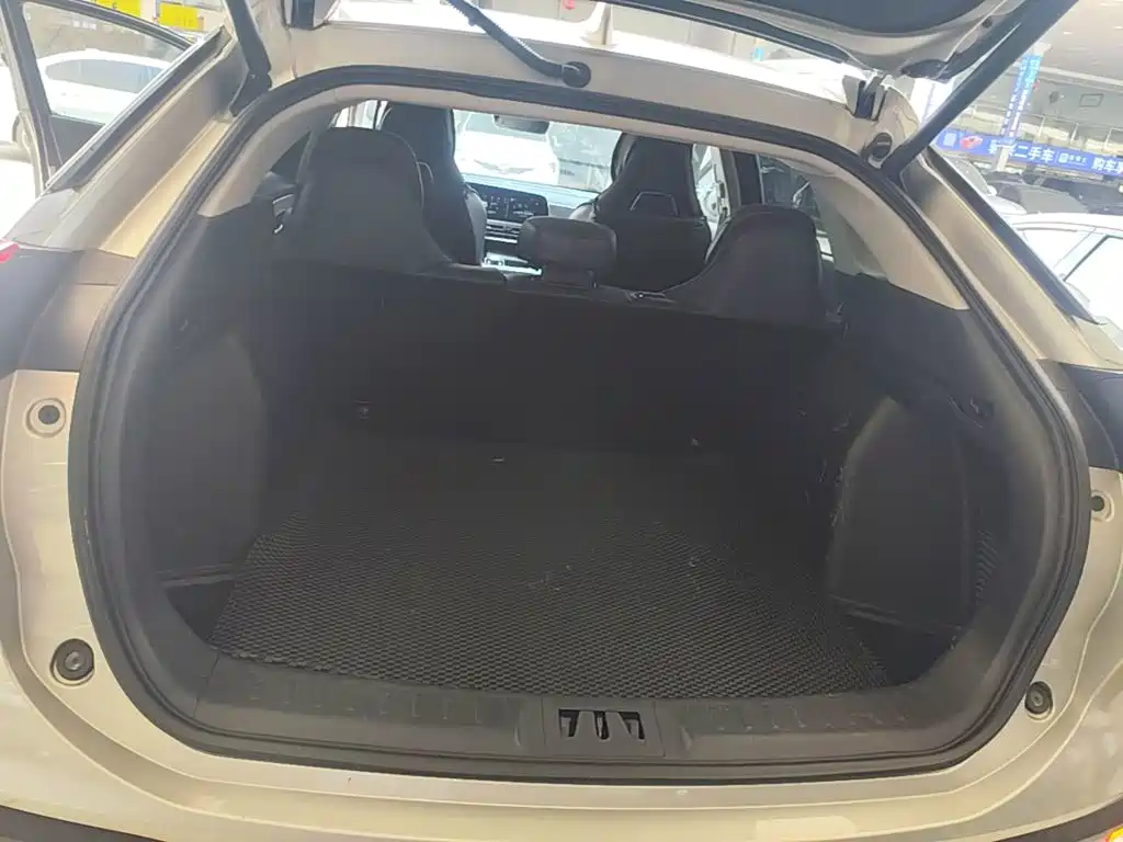 Aion LX 2021 2019 Model 80