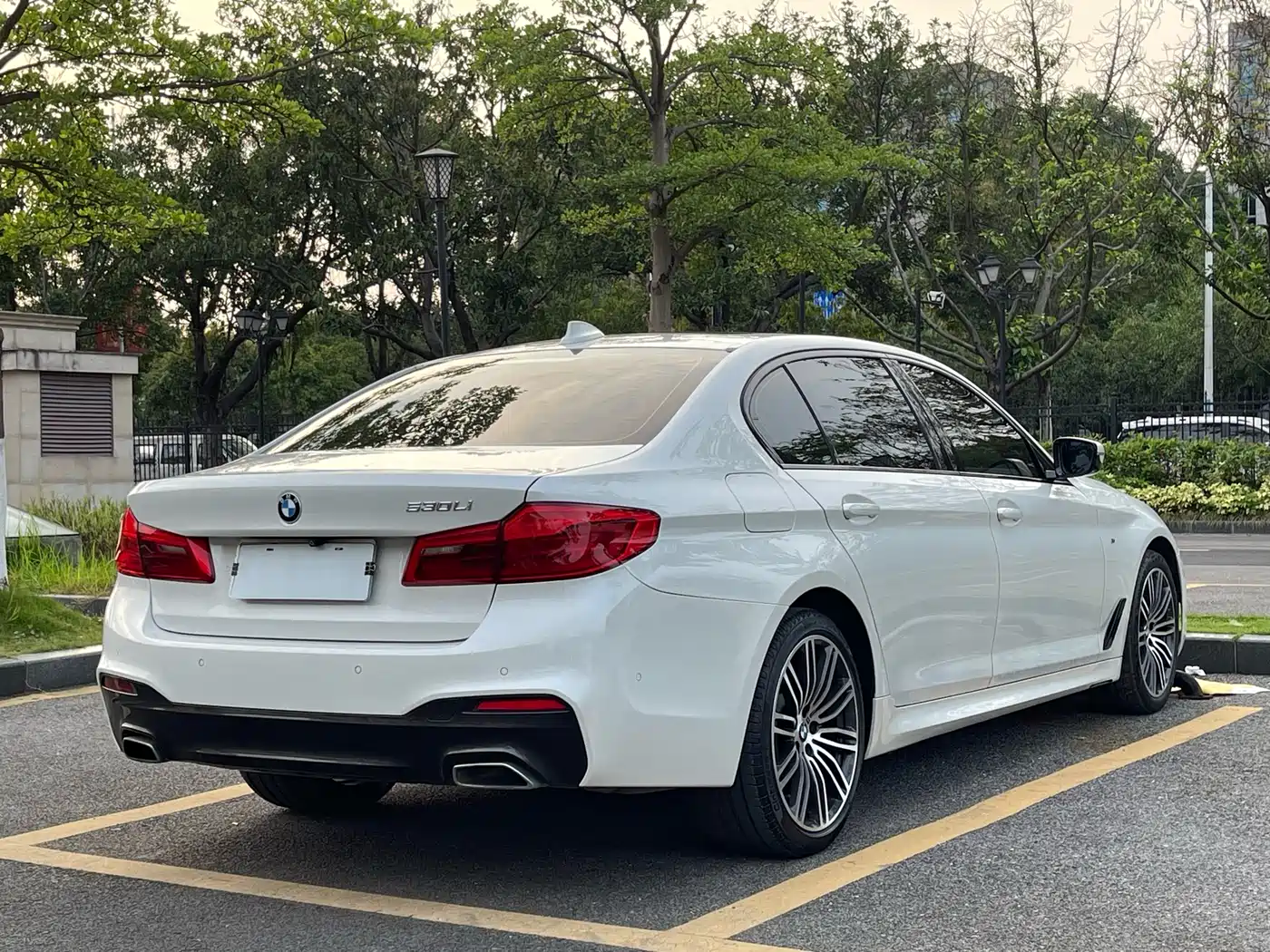 BMW 5 Series 2019 530Li Premium M Sport Package фото 4