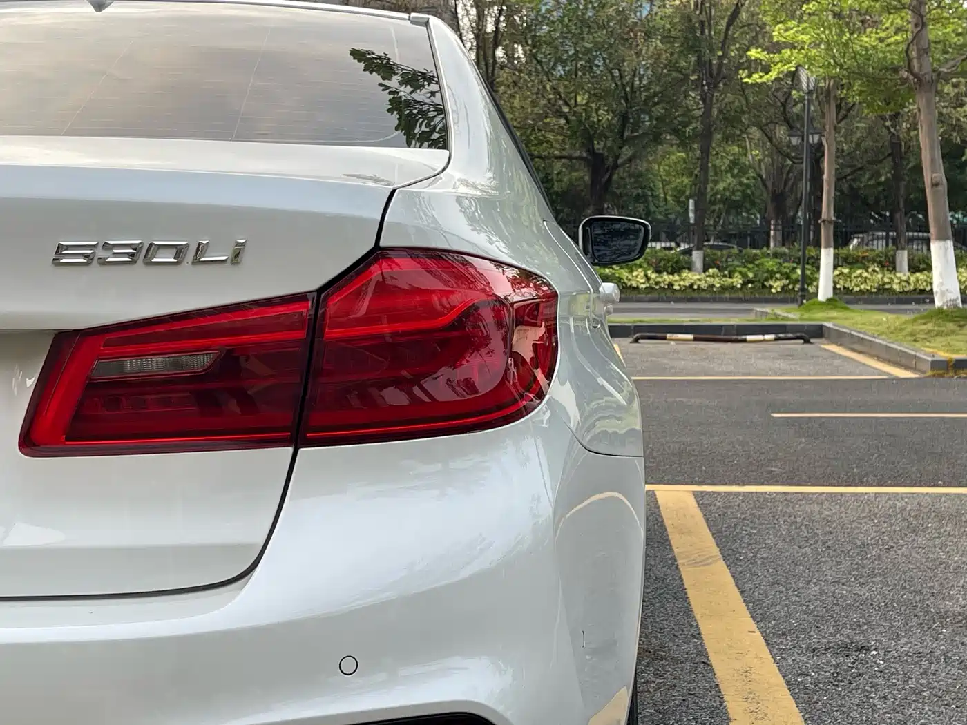 BMW 5 Series 2019 530Li Premium M Sport Package фото 10