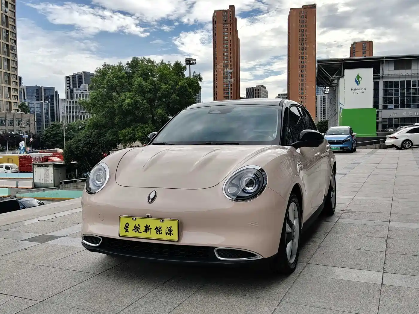 Ora Good Cat 2023 401km Standard Range Honor Edition (LFP)