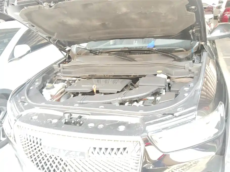 Haval H6 2020 1.5GDIT Automatic Platinum Champion Edition фото 10