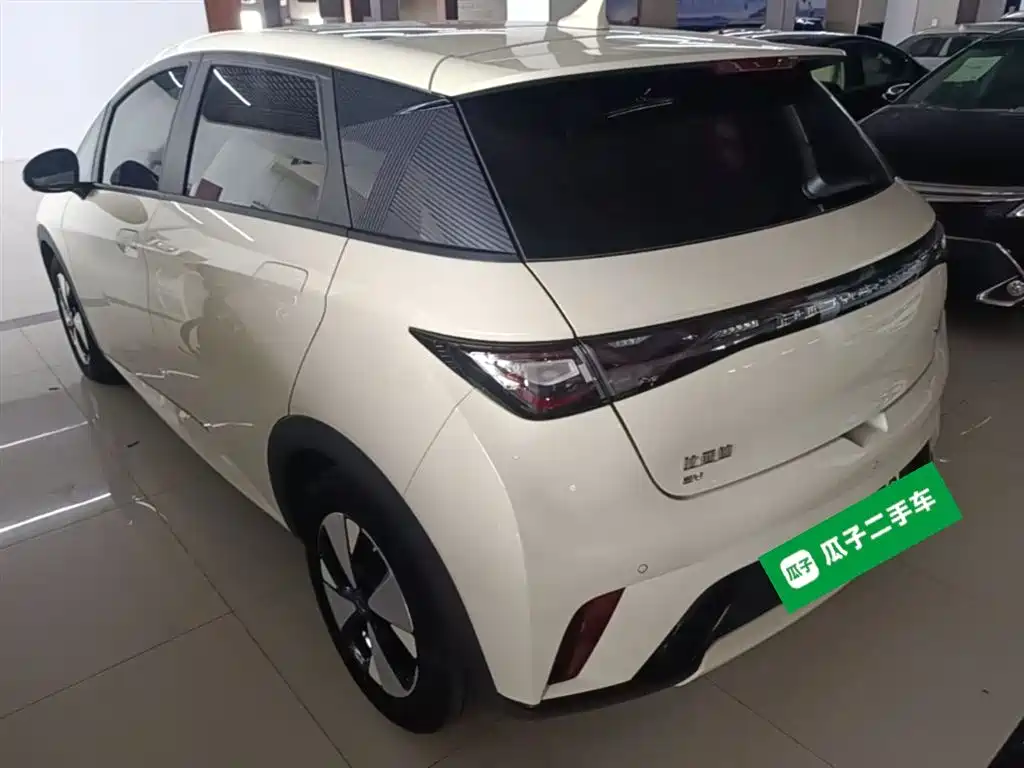 BYD Dolphin 2023 420km Fashion Edition фото 5