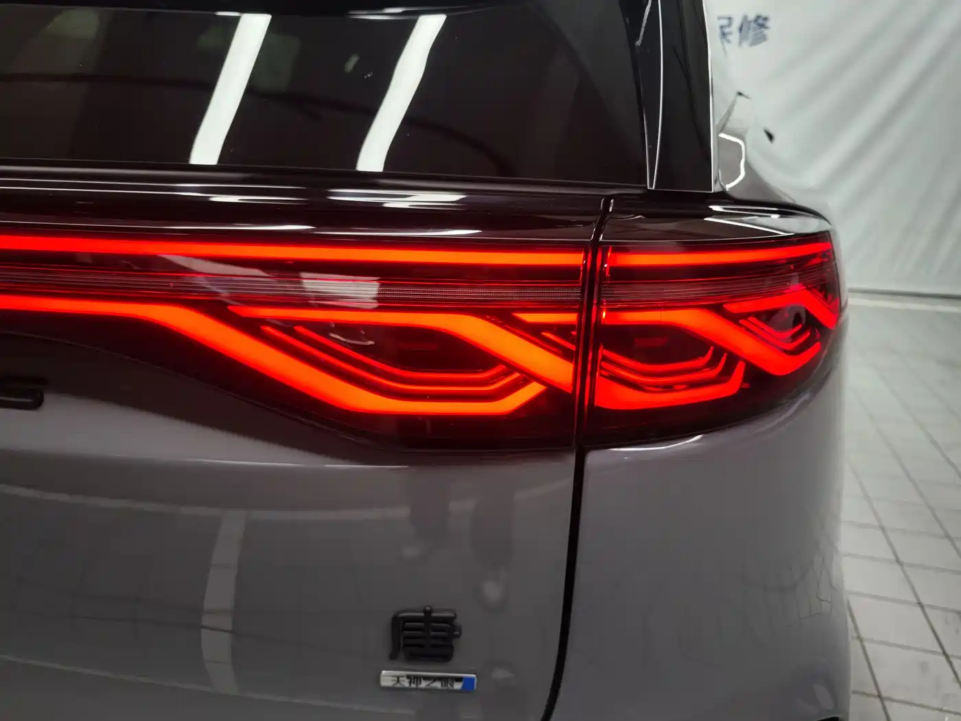 BYD Tang New Energy 2025 Smart Driving Edition DM-i 115KM Flagship фото 19