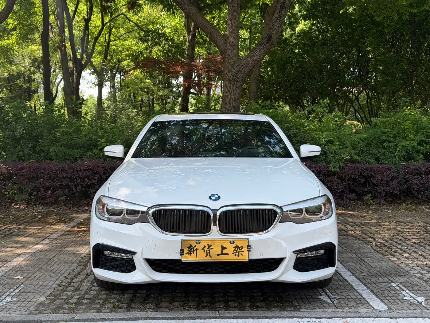 BMW 5 Series (Import) 2018 525i M Sport Package фото 2