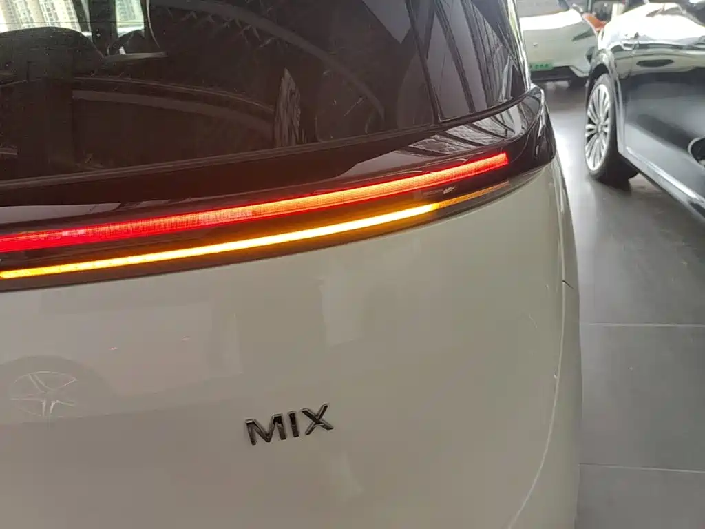 ZEEKR MIX 2026 2025 Smart Driving Edition