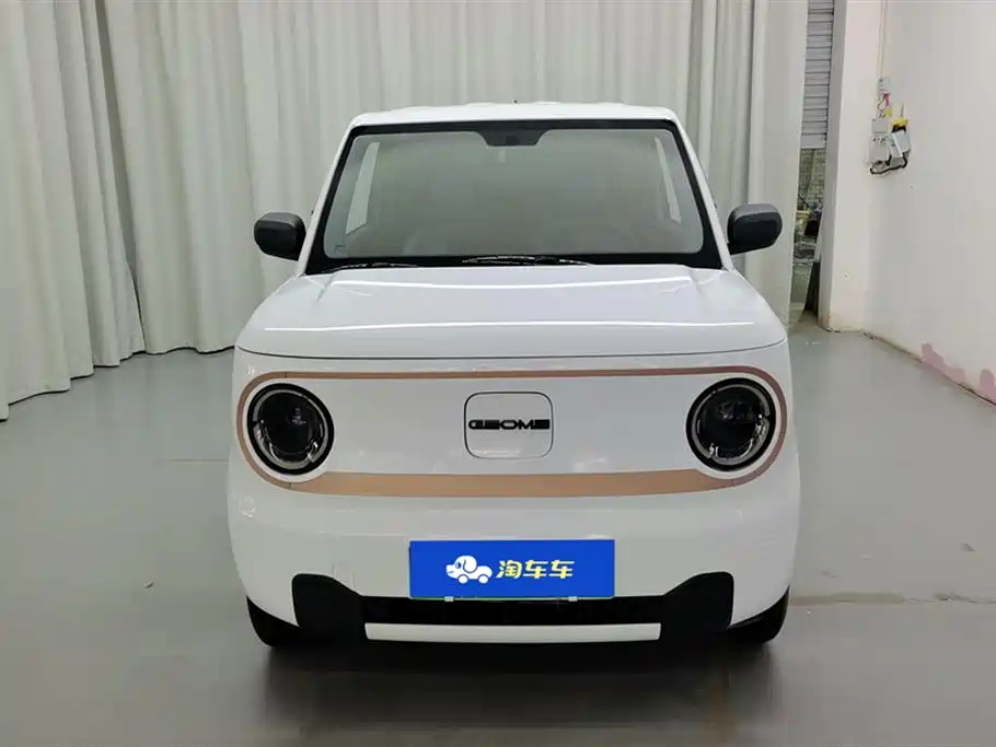Geely Galaxy Panda 2024 Panda mini 200km Endurance Bear фото 2
