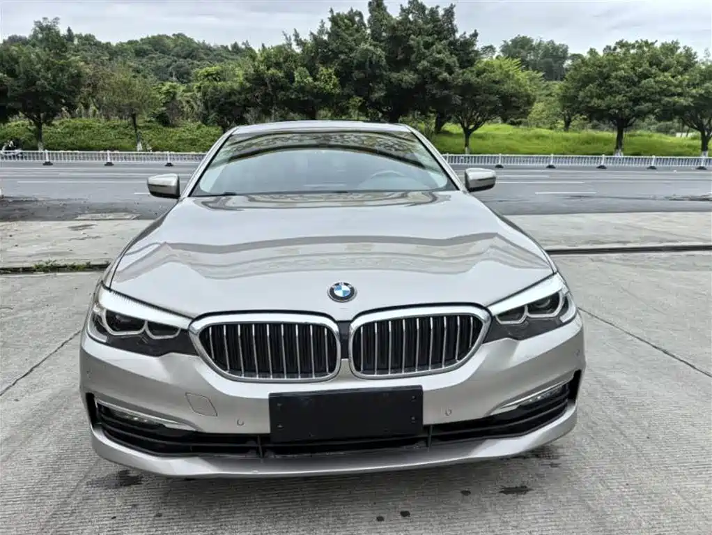 BMW 5 Series 2018 528Li Launch Special Edition фото 2