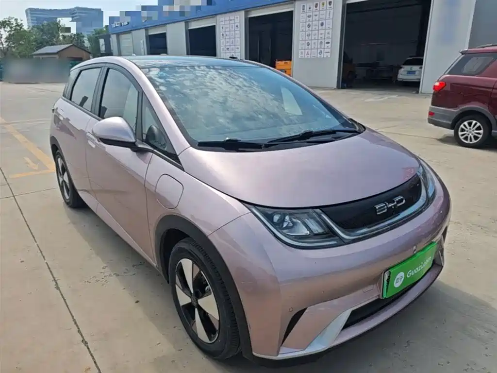 BYD Dolphin 2023 420km Fashion Edition фото 4