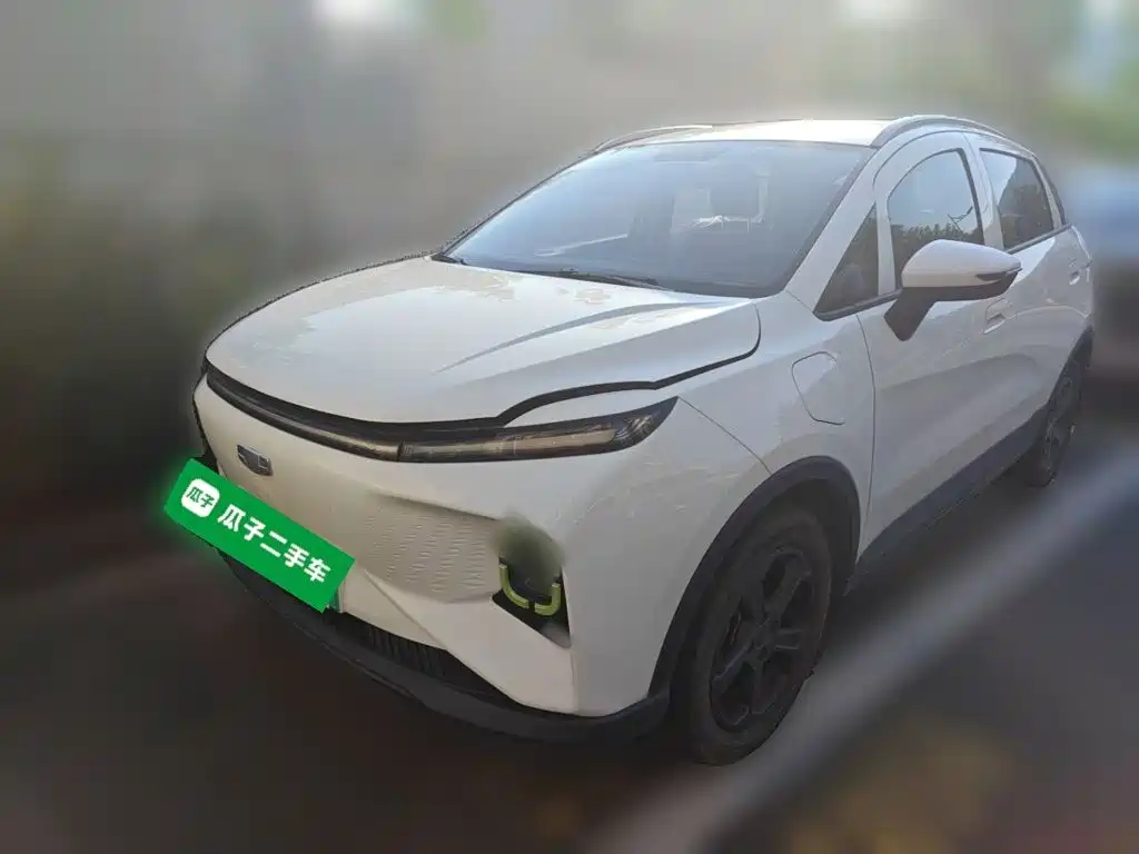 Geely Geometry E Firefly 2023 2023 320KM Cute Tiger 5-seater