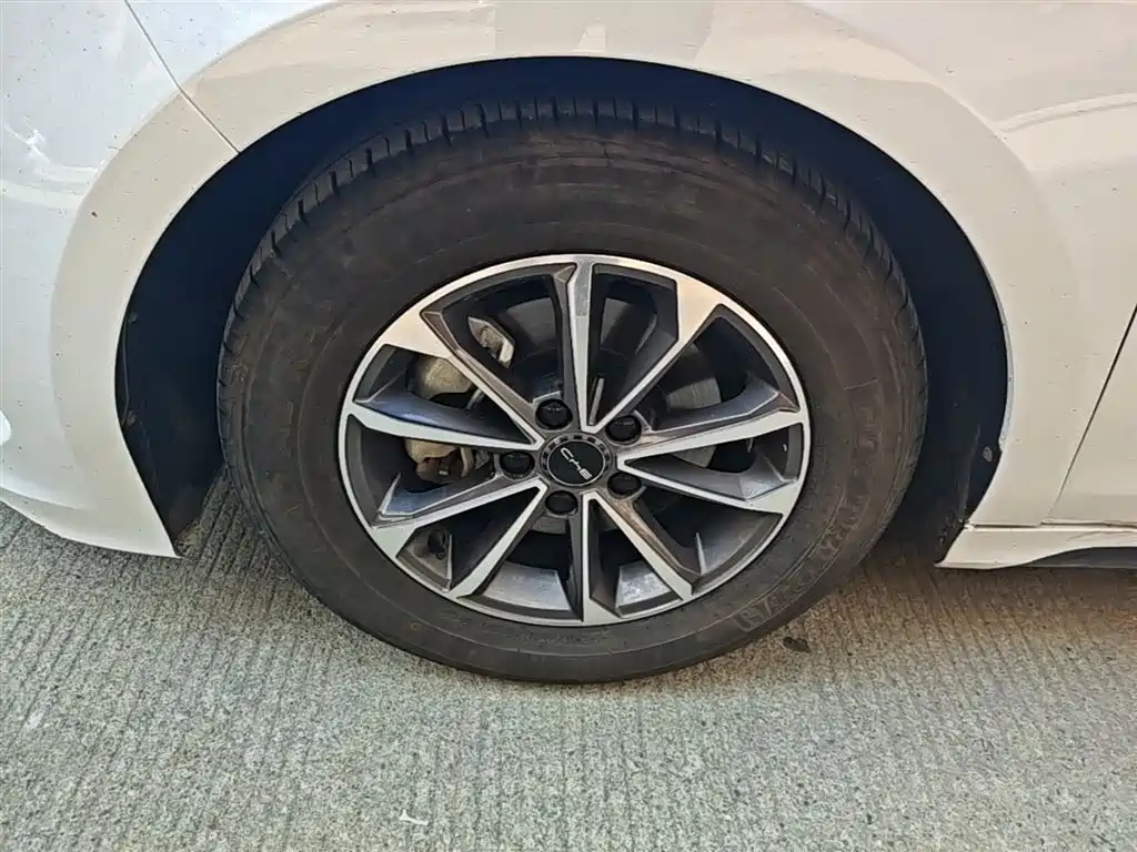 BYD Destroyer 05 2024 Glory Edition DM-i 55KM Luxury фото 23
