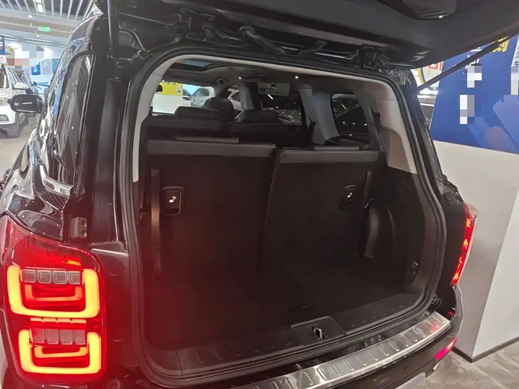 GAC Trumpchi Trumpchi GS8 2017 320T 2WD Luxury Smart Connect (7-seater) фото 19