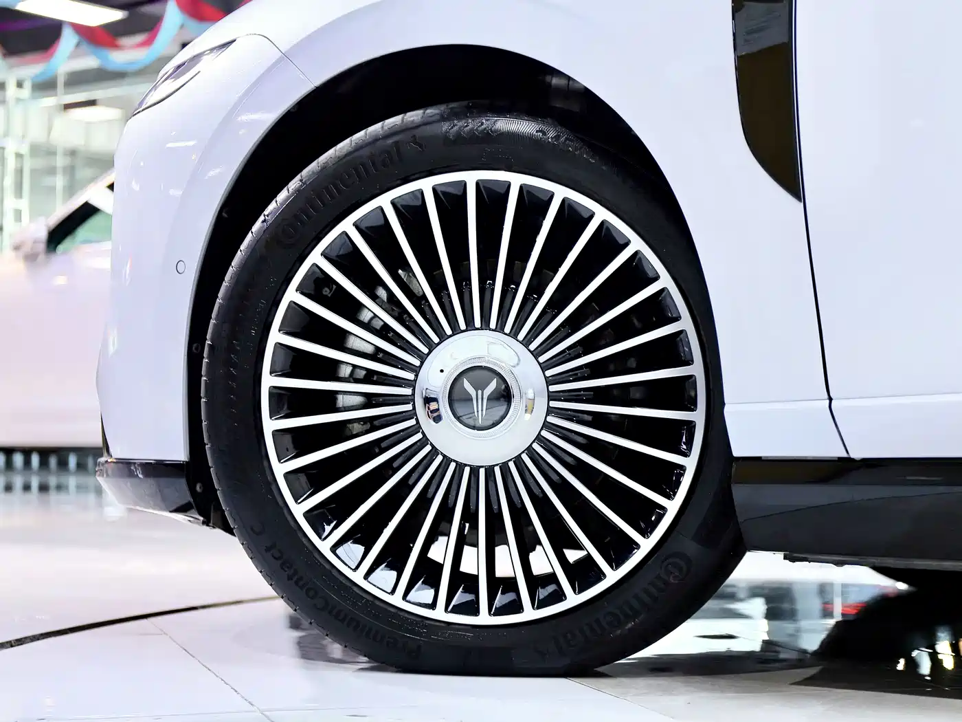 Voyah Auto VOYAH Zhuiguang L 2025 2025 Mid-configuration Model