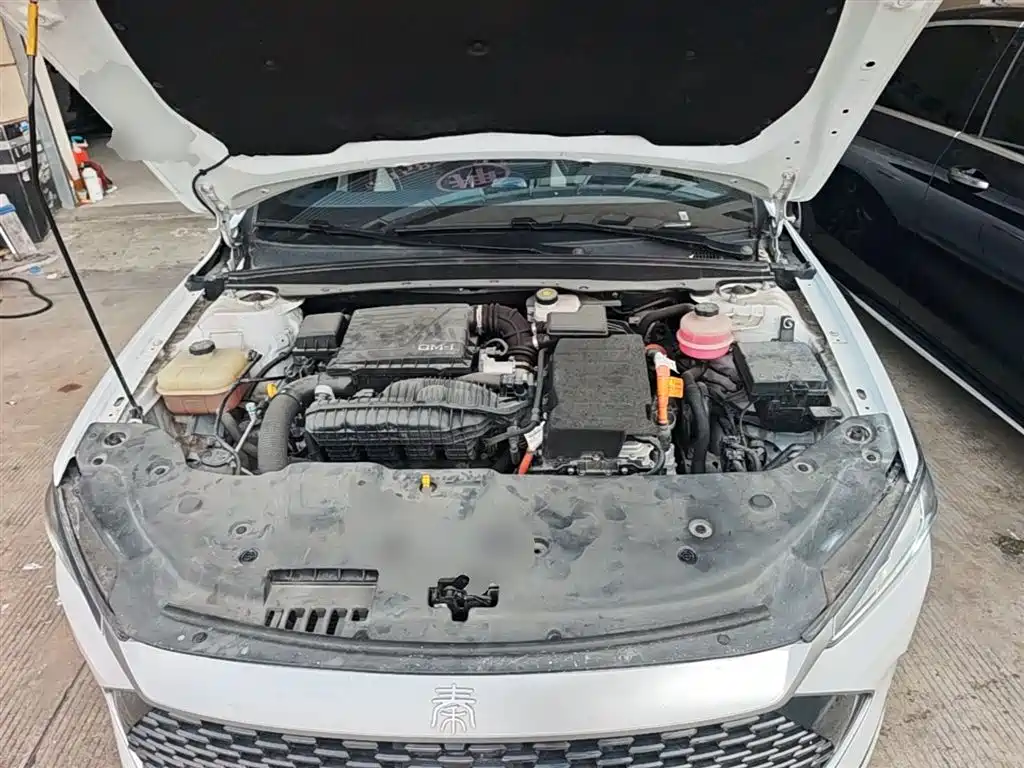 BYD Qin PLUS 2021 DM-i 55KM Flagship фото 20