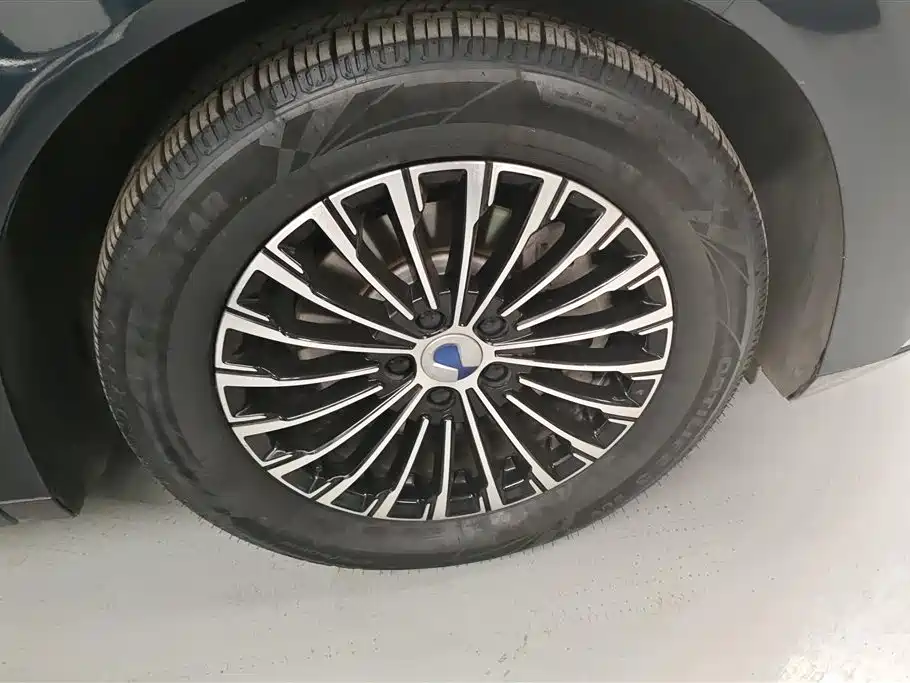 Denza D9 2022 DM-i 970 All-Wheel Drive Honor Edition фото 6