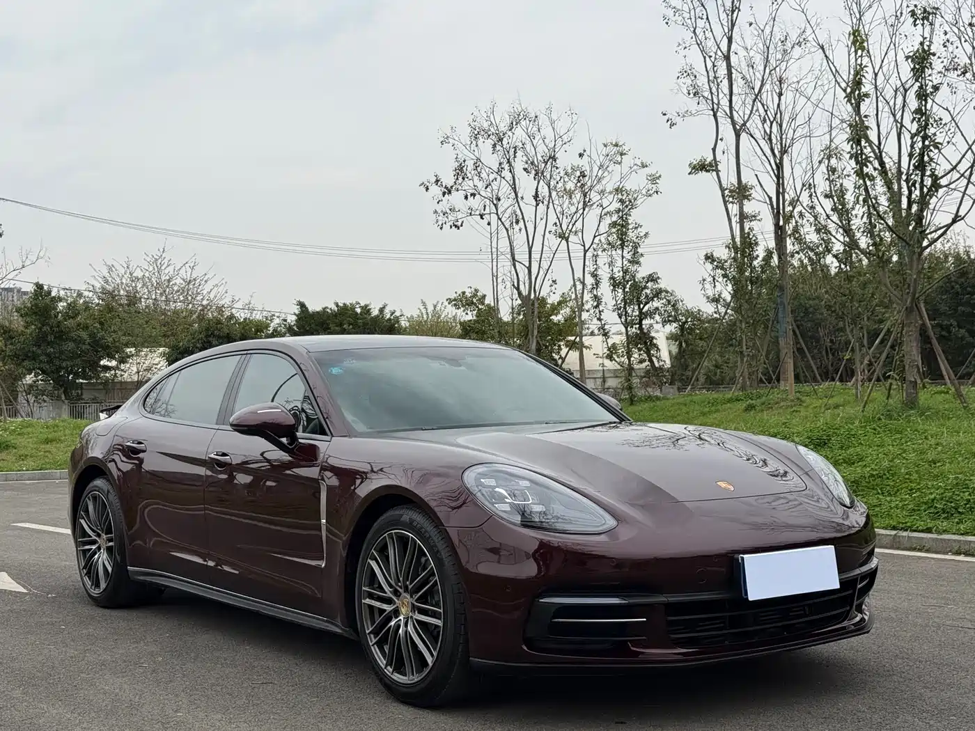 Porsche Panamera 2017 Panamera 4 Executive Long Wheelbase 3.0T фото 3