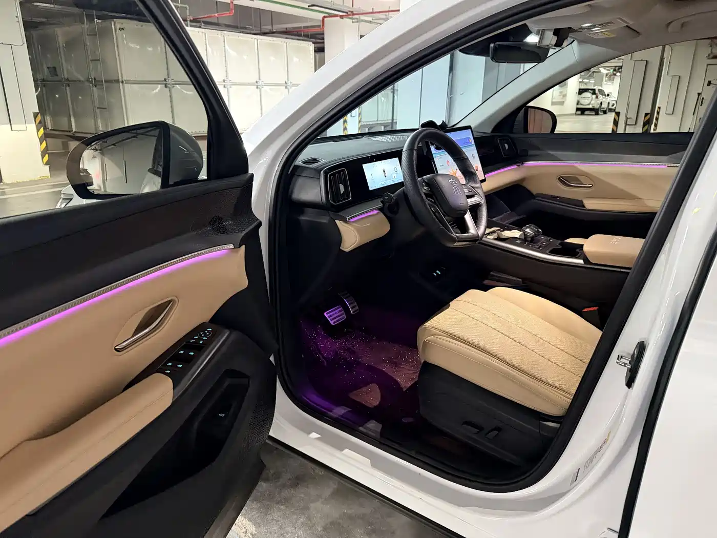 BYD Song Pro New Energy 2025 2nd Gen DM-i 115KM Excellence фото 7