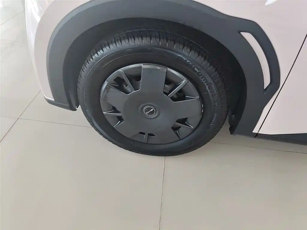 BYD Seagull 2024 Glory Edition 305km Vitality Edition фото 23