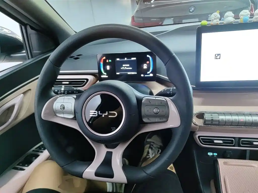 BYD Seagull 2024 Glory Edition 305km Vitality Edition фото 11