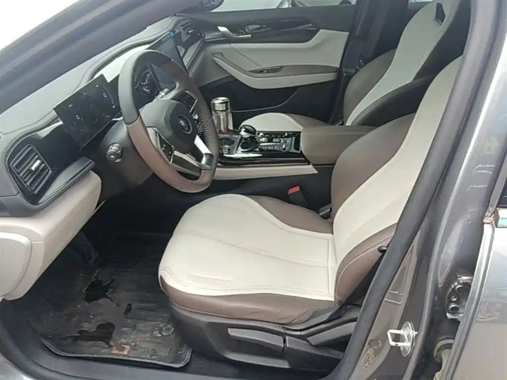 BYD Qin PLUS 2024 Glory Edition DM-i 55KM Leading фото 11