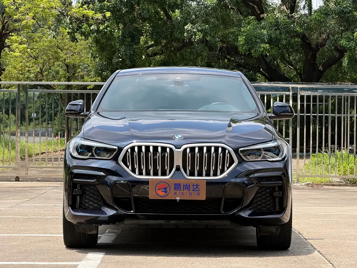 BMW X6 2022 2022 xDrive40i M Sport Package