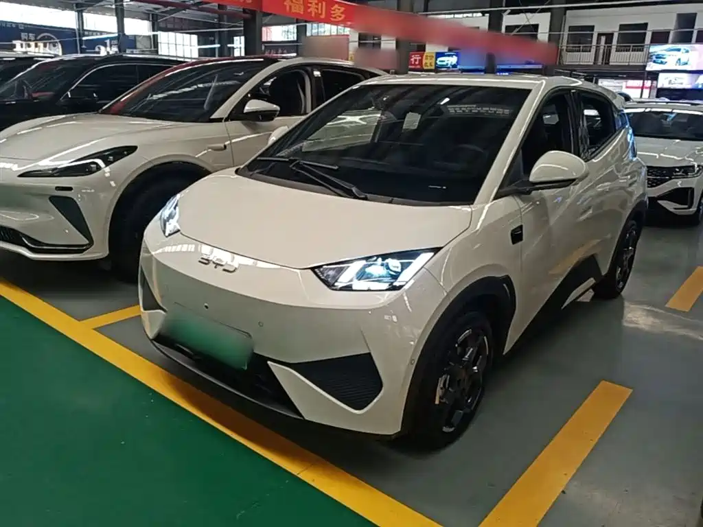 BYD Seagull 2025 Smart Drive Edition 305km Freedom Version фото 2