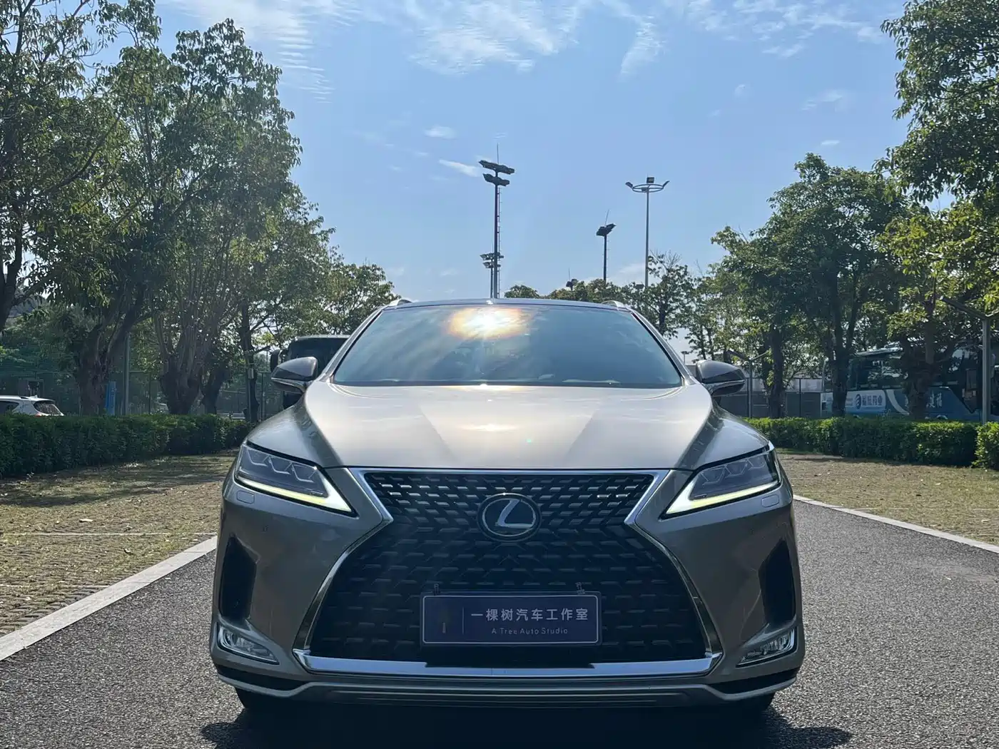 LEXUS RX
