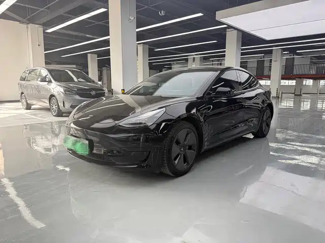 Tesla Model 3 Задний привод