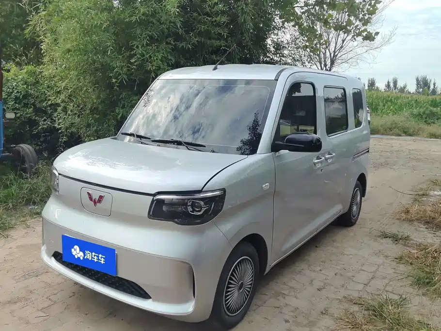 Фото 1 - Wuling Motors Wuling Zhiguang NEV