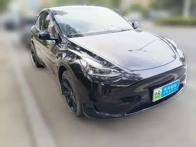 Tesla Model Y 2022 Rear-Wheel Drive Version — фото 3