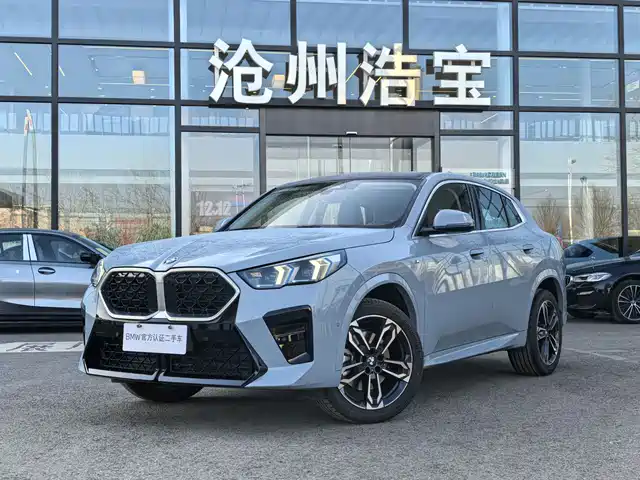 BMW X2