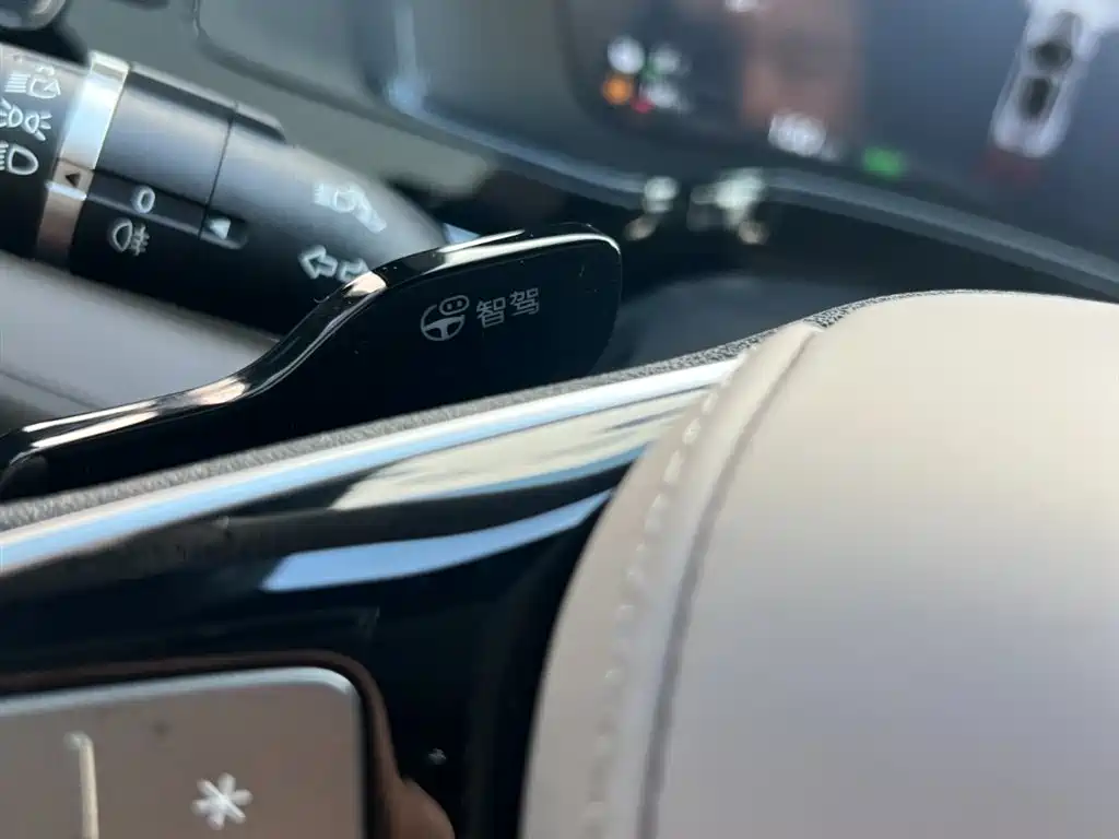 BYD Tang New Energy 2025 Smart Driving Edition DM-i 115KM Premium фото 12