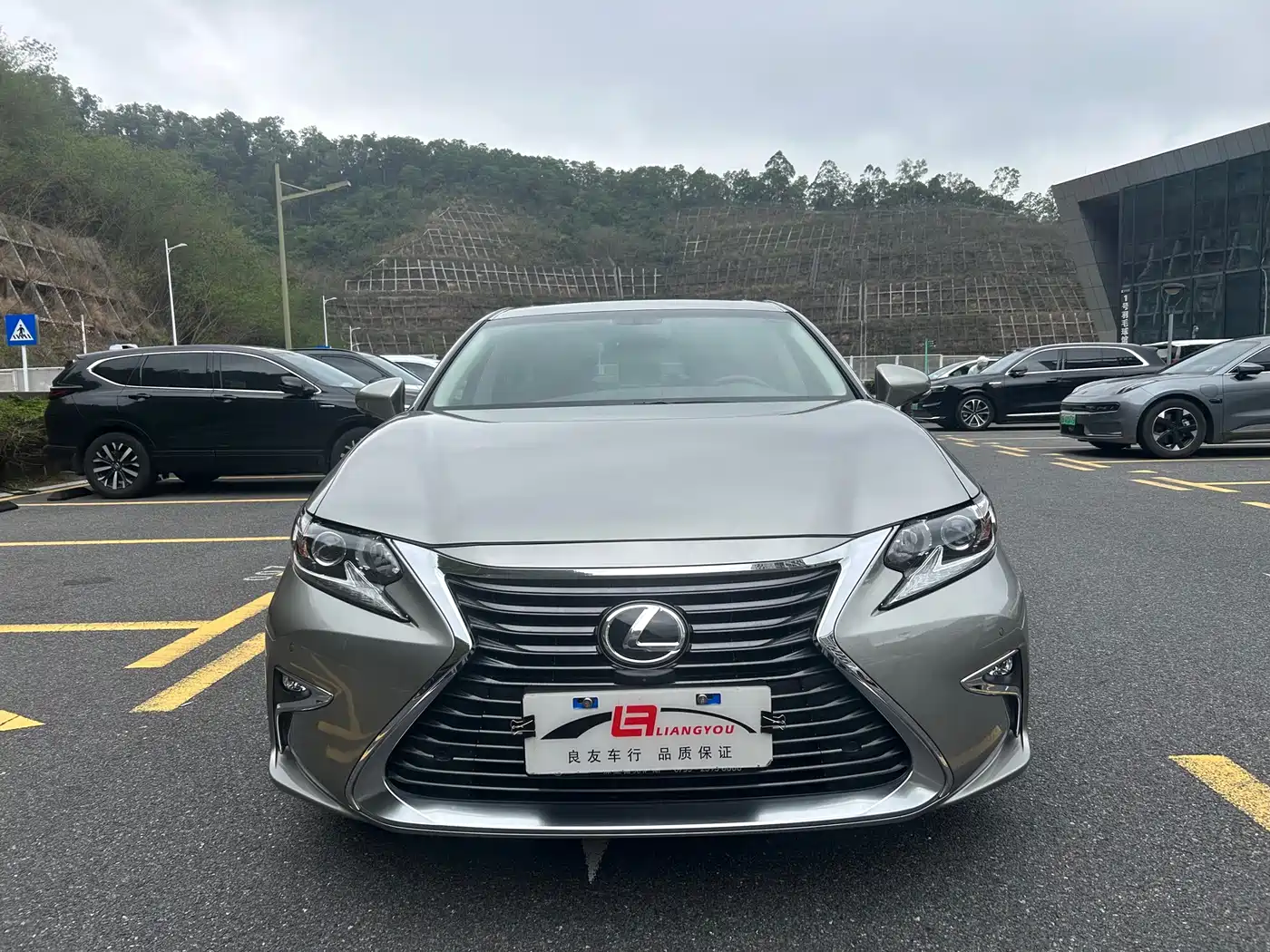 Lexus ES 2015 200 Elite Edition фото 2