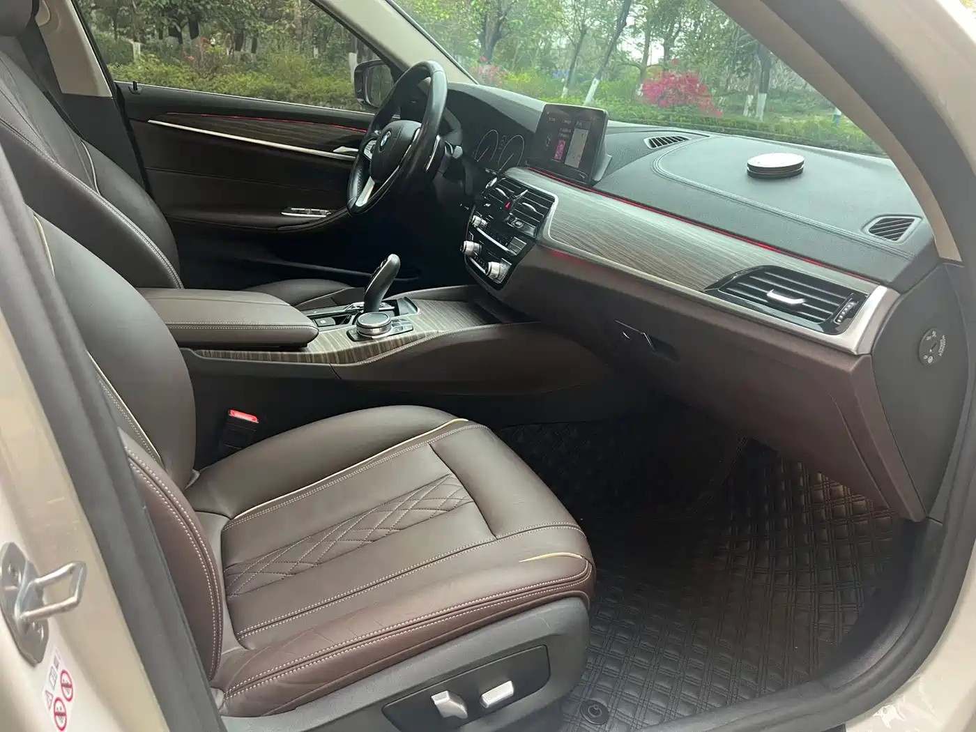 BMW 5 Series 2019 530Li Leading Luxury Package фото 9