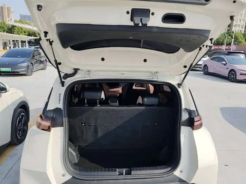 BYD Seagull 2024 Glory Edition 305km Vitality Edition фото 19
