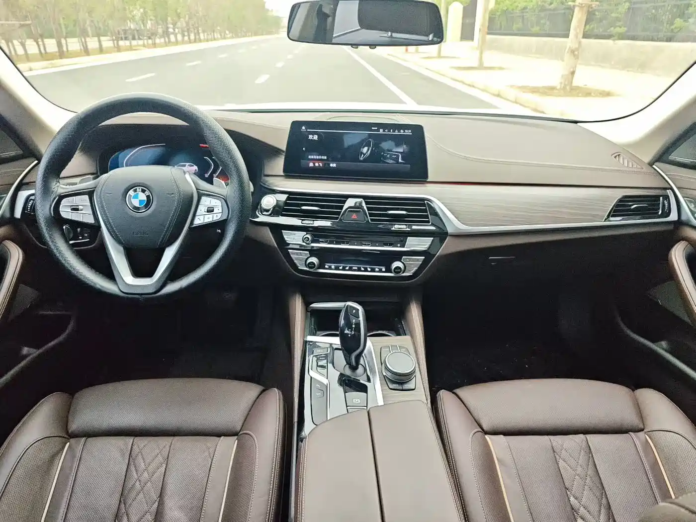 BMW 5 Series 2020 530Li Premium Luxury Package фото 7
