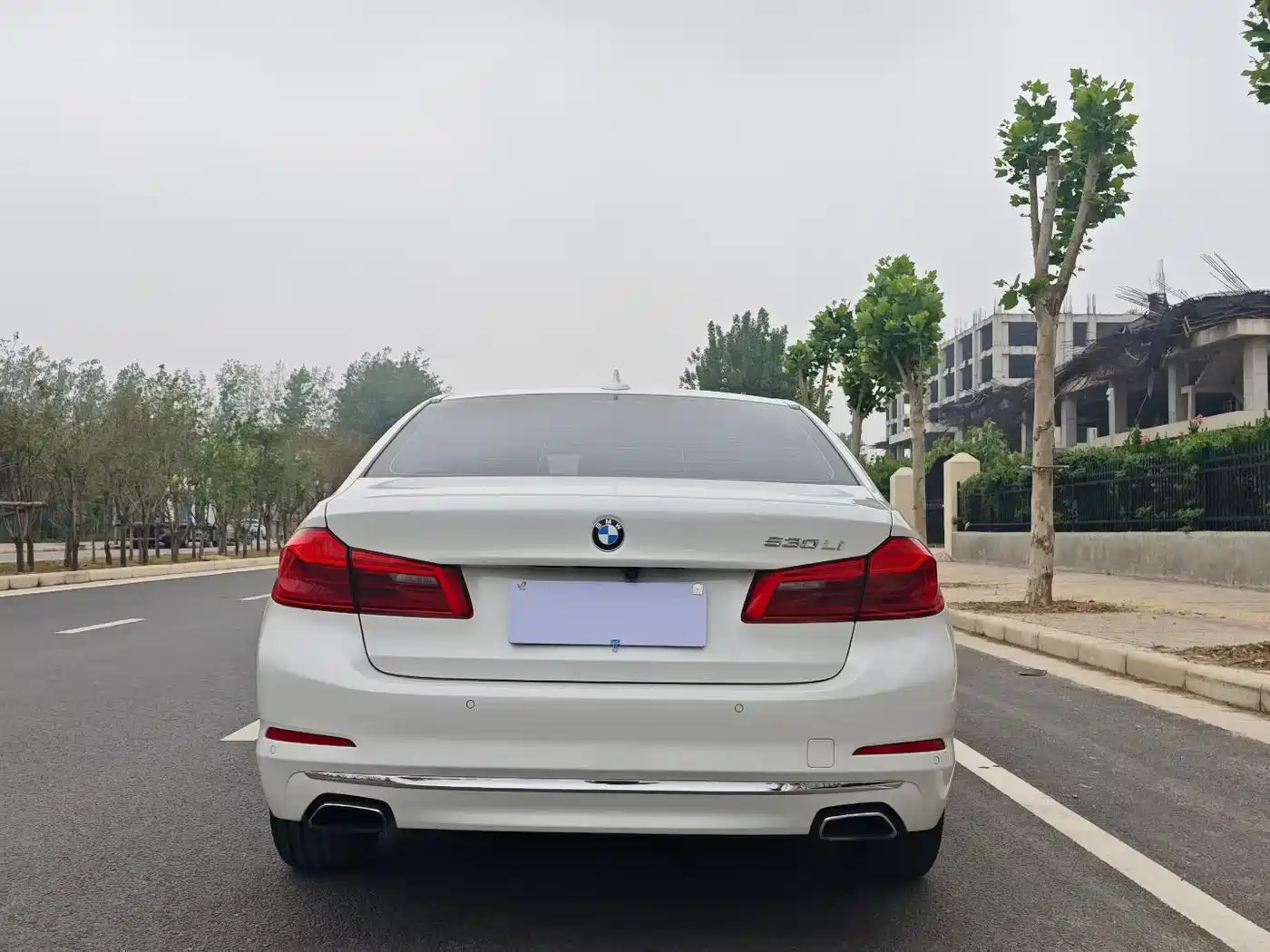BMW 5 Series 2020 530Li Premium Luxury Package фото 4