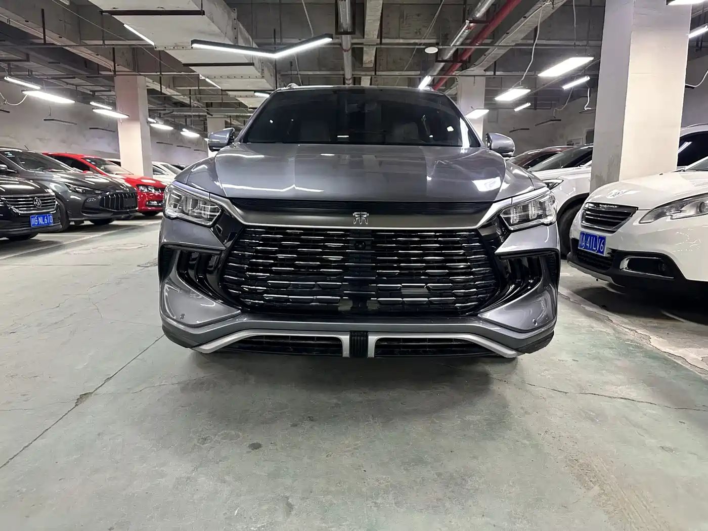 BYD Song Pro New Energy 2024 Glory Edition DM-i 71KM Pilot фото 2