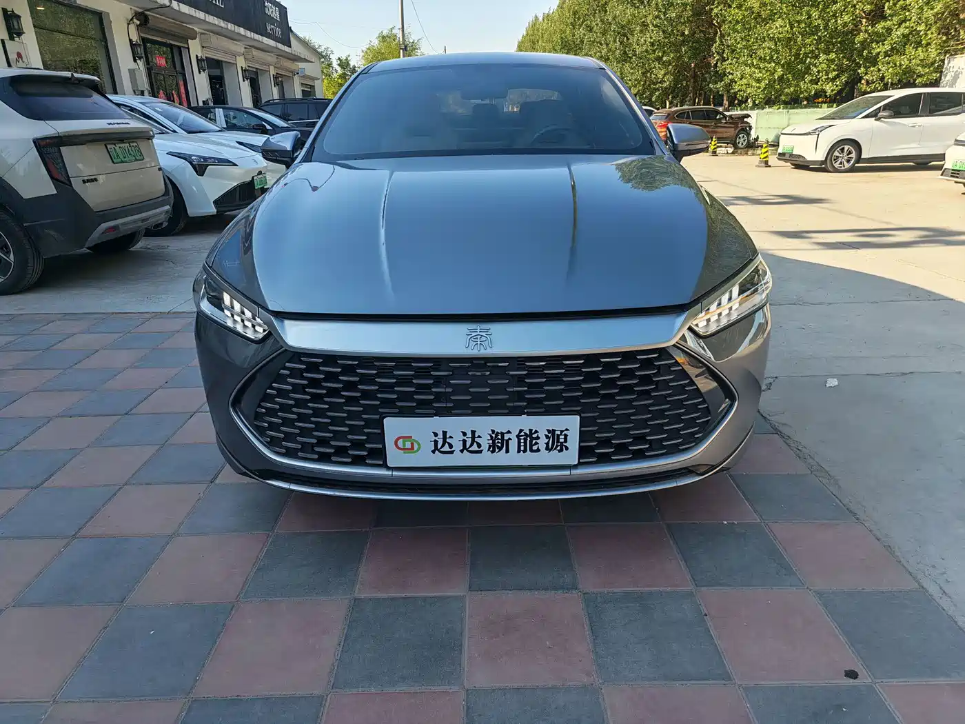 BYD Qin PLUS 2024 Glory Edition DM-i 55KM Leading фото 2