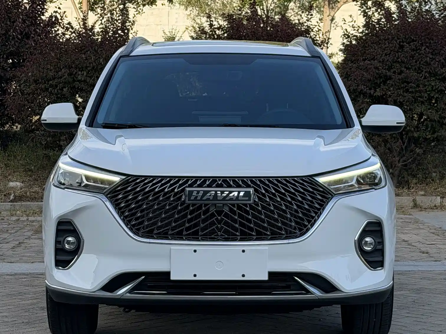 Фото 2 - Haval M6