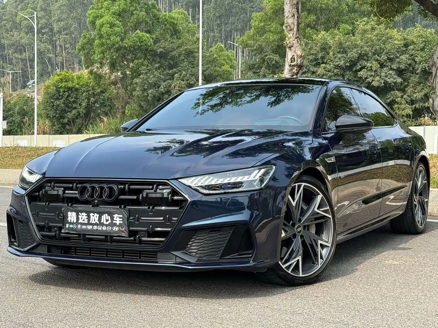 Audi A7L 2022 2022 55 TFSI quattro S-line edition one Pioneer Edition