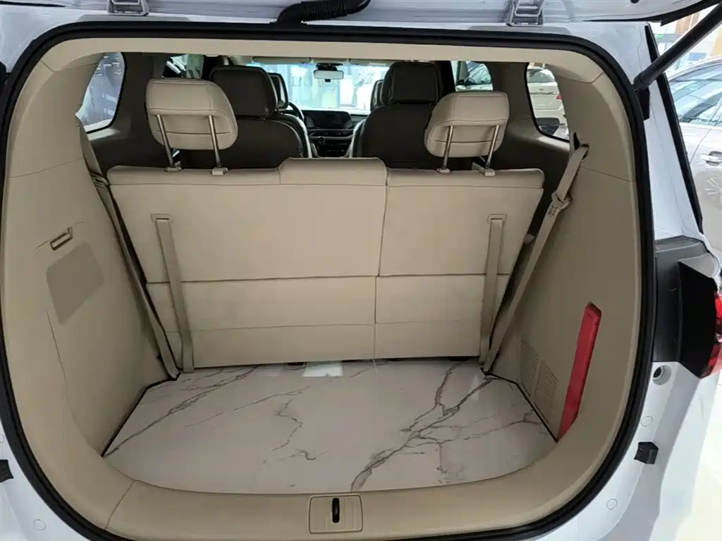 Buick GL8 2023 ES Landmaster Exclusive фото 15