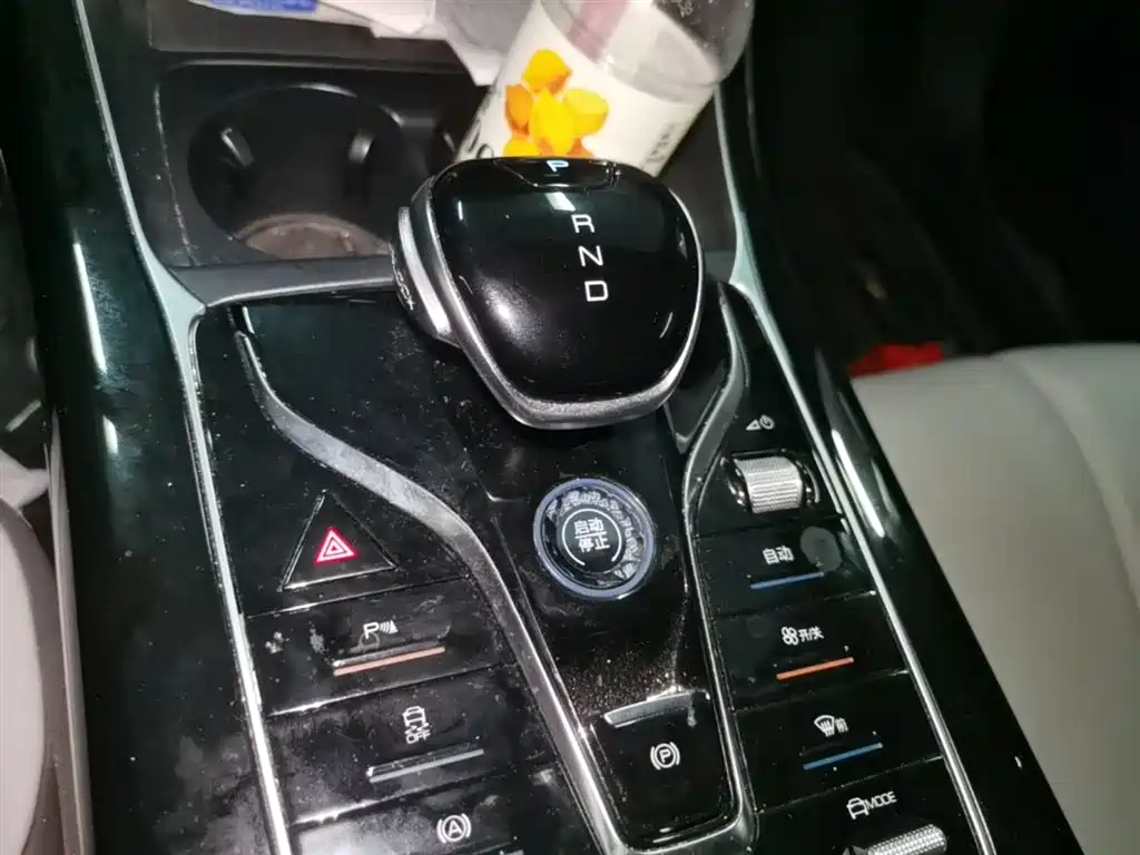 BYD Qin PLUS 2024 Glory Edition DM-i 55KM Surpass фото 14