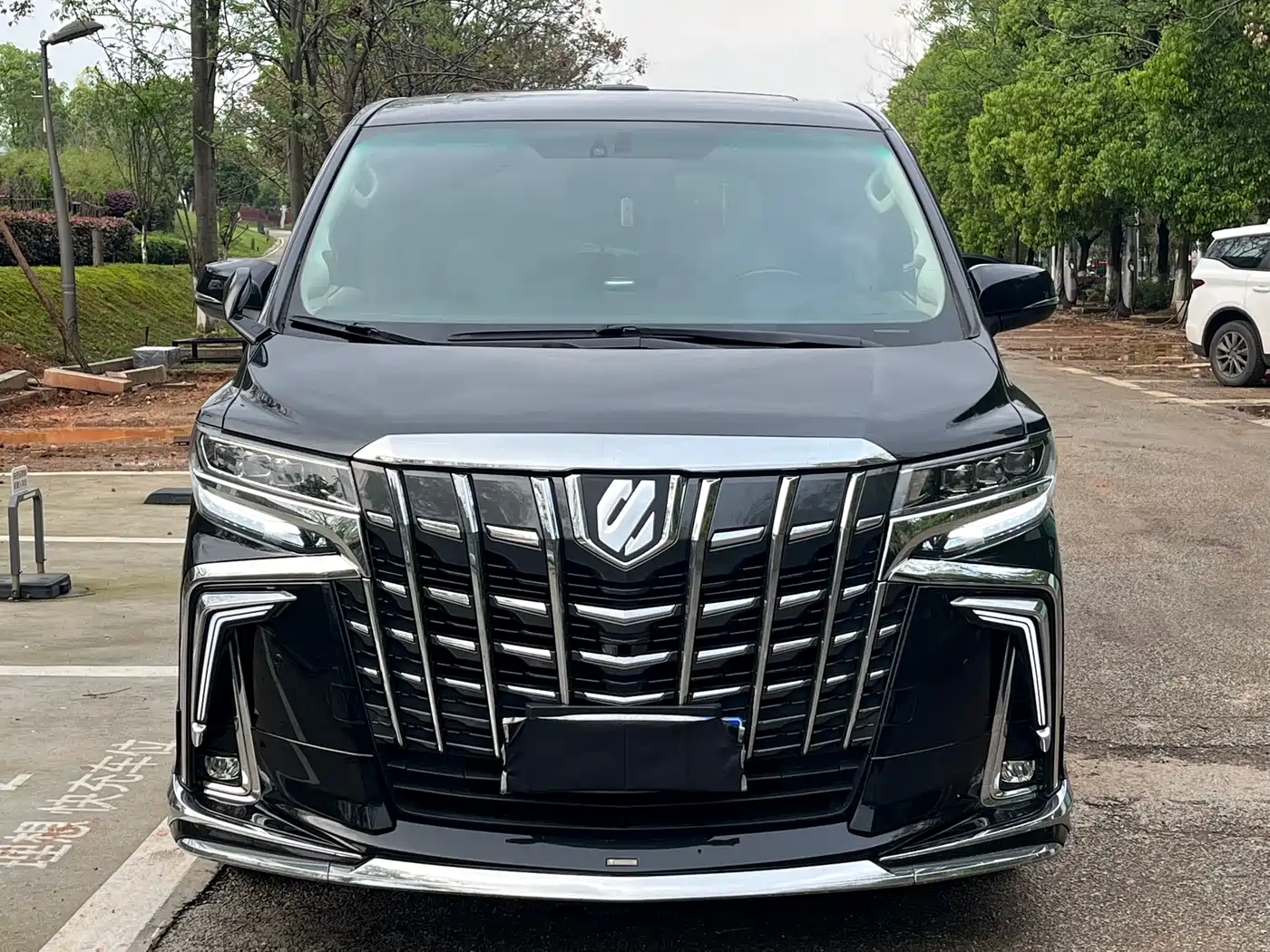 Toyota Alphard 2011 3.5L Luxury Edition фото 2