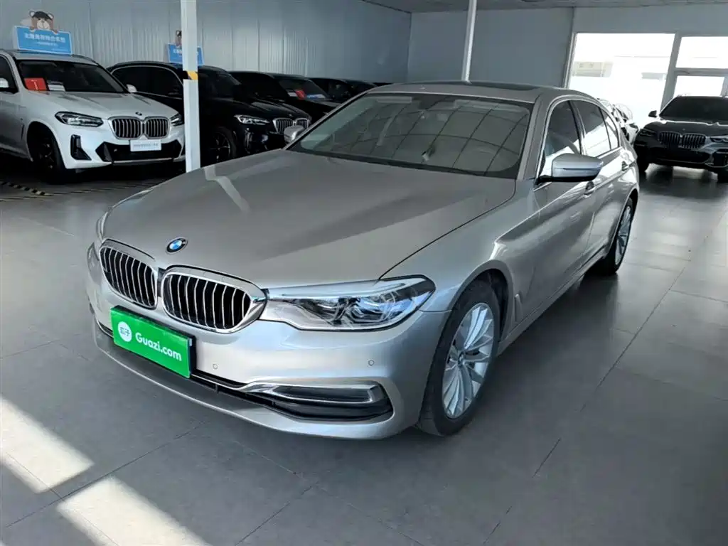 BMW 5 Series 2020 530Li Leading Luxury Package фото 2