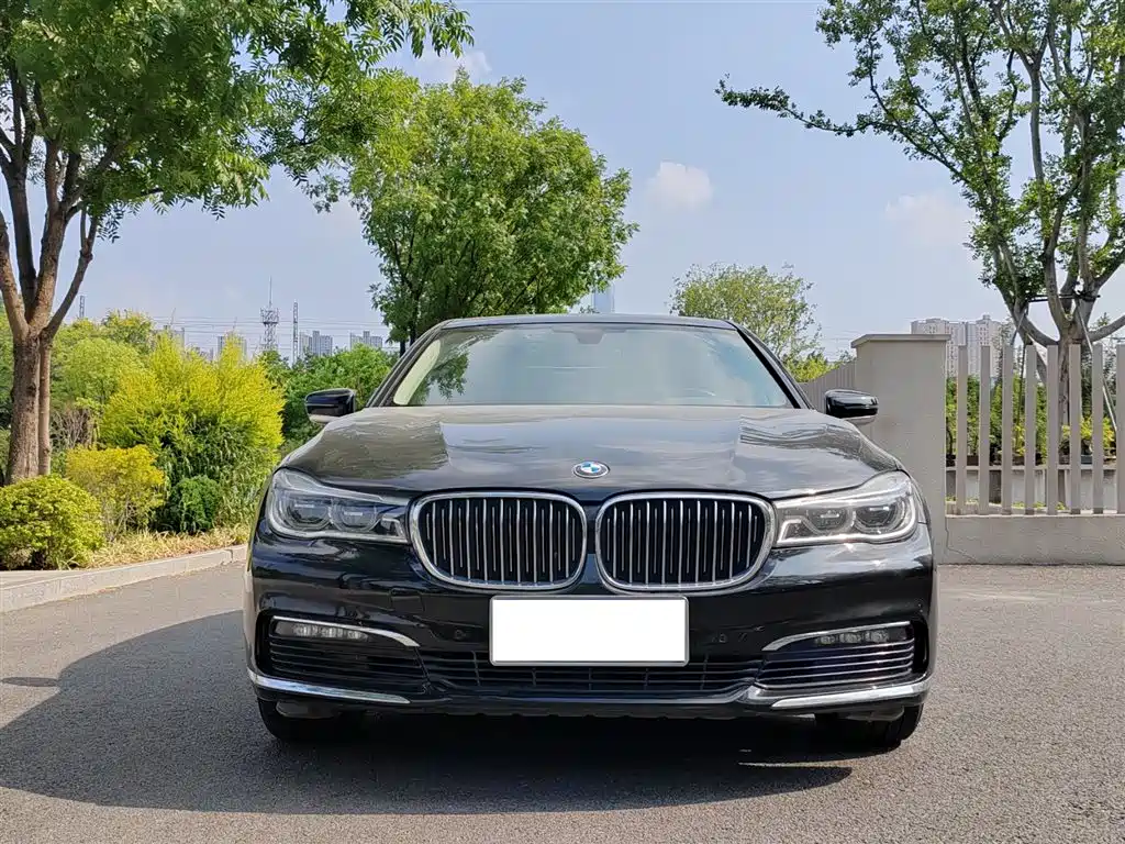BMW 7 Series 2016 730Li Leading фото 2