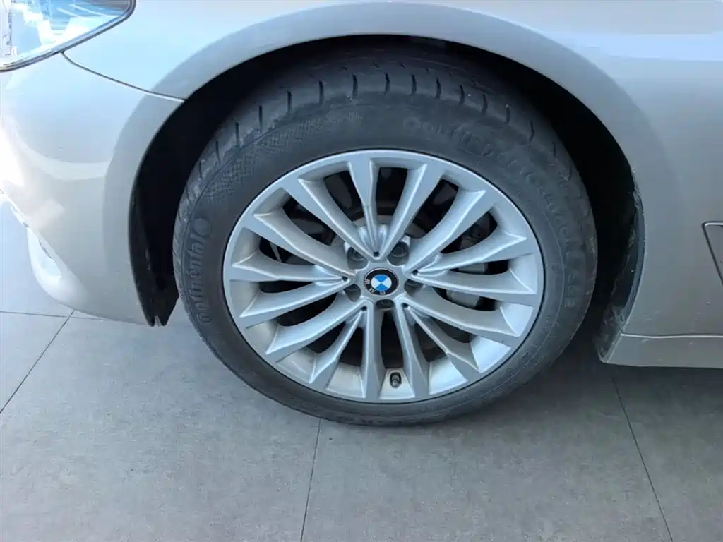 BMW 5 Series 2020 530Li Leading Luxury Package фото 23